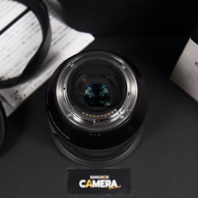 Sigma 24-70mm F2.8 DG DN ART