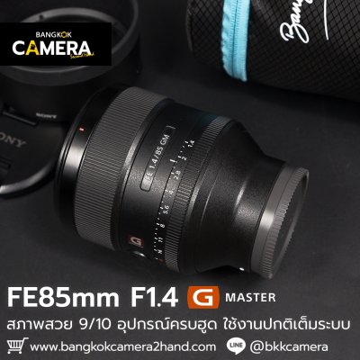 FE85mm F1.4 GM