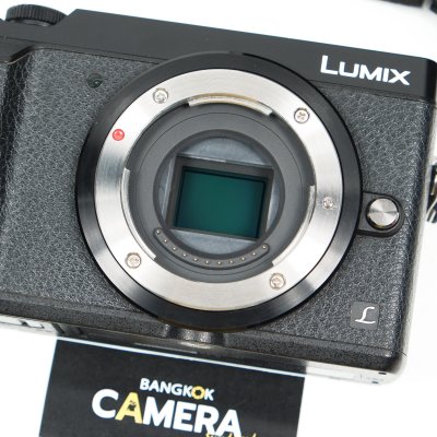 Lumix GX85 + Zuiko 14-42mm