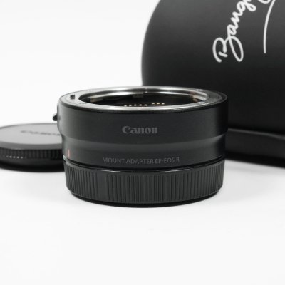 Adapter EF-EOS R