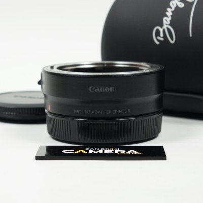 Adapter EF-EOS R