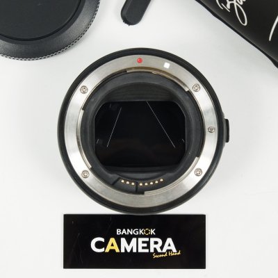 Adapter EF-EOS R