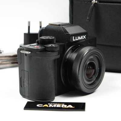 Lumix G100