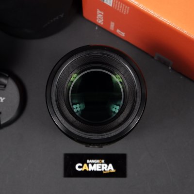 FE90mm F2.8 Macro G OSS