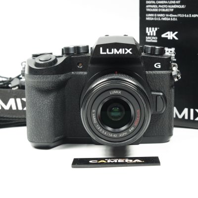 Lumix G90