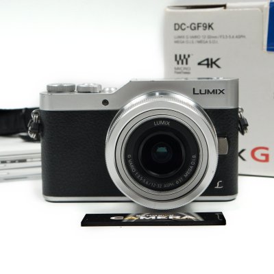 Lumix GF9