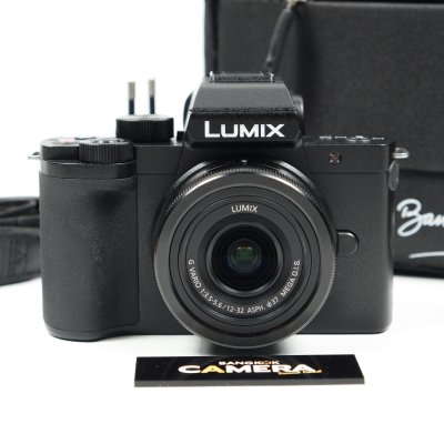 Lumix G100
