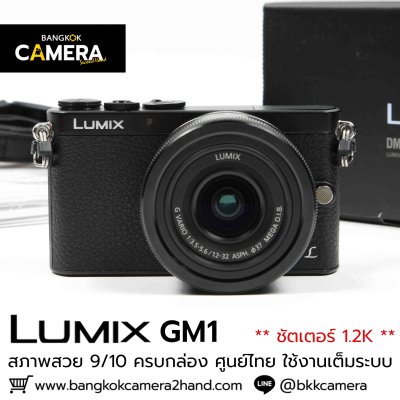 Lumix GM1