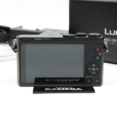 Lumix GM1
