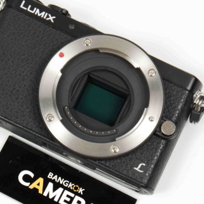 Lumix GM1
