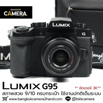 Lumix G95