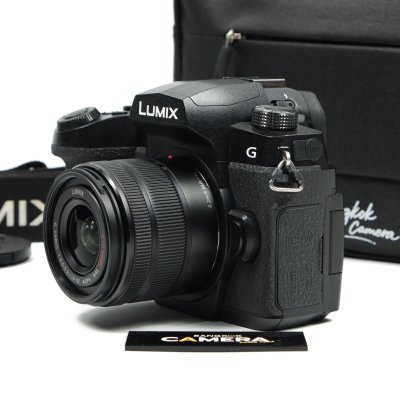 Lumix G95
