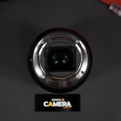 FE90mm F2.8 Macro G OSS