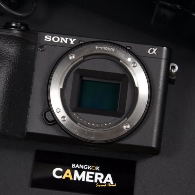 Sony A6600 Body
