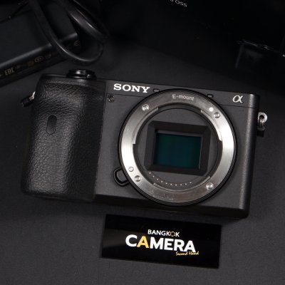 Sony A6600 Body