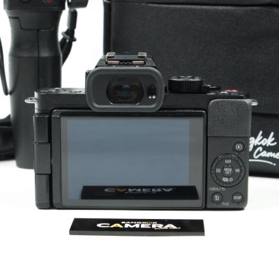 Lumix G100