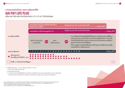 กราฟจุดเด่นประกันชีวิต AIA Pay Life Plus (Non Par)