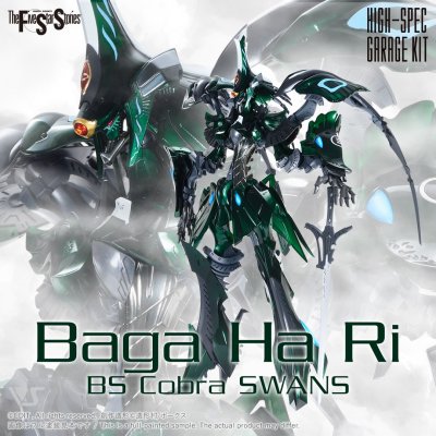 HSGK 1/72 Baga Ha Ri BS Cobra SWANS HSGK 1/72 Baga Ha Ri BS Cobra SWANS