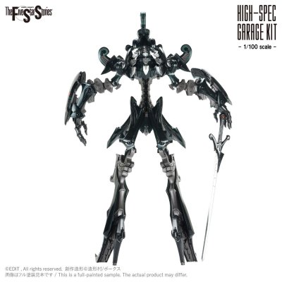 HSGK 1/100 DACCAS the Black Knight