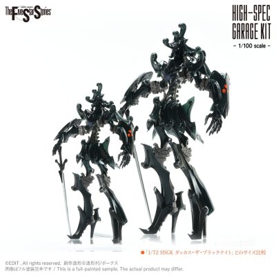 HSGK 1/100 DACCAS the Black Knight HSGK 1/100 DACCAS the Black Knight