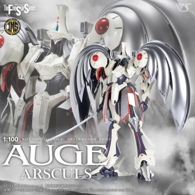 IMS 1/100 AUGE ARSCULS IMS 1/100 AUGE ARSCULS