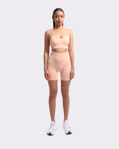 MUSESTORE ACTIVETOP 01