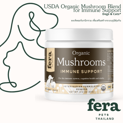 USDA Organic Mushroom Blend for Immune Support