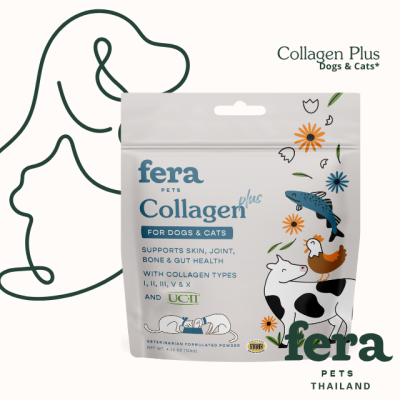 Collagen Plus