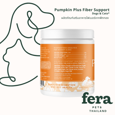 Pumpkin Plus Fiber Support