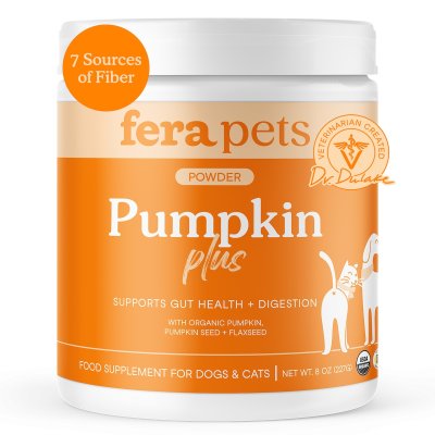Pumpkin Plus Fiber Support
