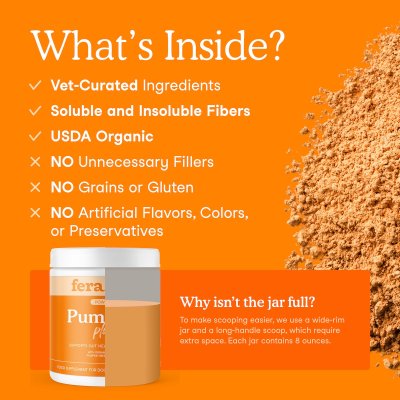 Pumpkin Plus Fiber Support