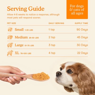 Pumpkin Plus Fiber Support