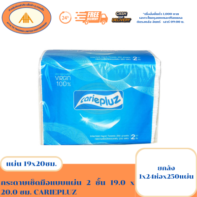 CARIEPLUZ 2-ply paper towels, 19.0 x 20.0 cm (1 x 24 packs x 250 sheets)