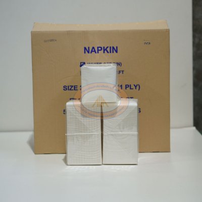 กระดาษเช็ดปาก Napkins 24x24 ซม. 1 ชั้น พับ 4 สีขาว (1x16ห่อx500แผ่น) รวม 8,000 แผ่น