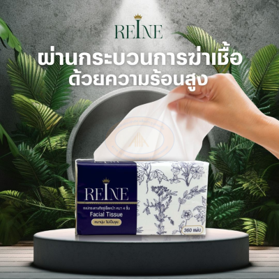 กระดาษทิชชู่เช็คหน้า หนา 4 ชั้น 360 แผ่น กระดาษทิชชู่เรเน่ Reine