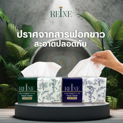 กระดาษทิชชู่เช็คหน้า หนา 4 ชั้น 360 แผ่น กระดาษทิชชู่เรเน่ Reine