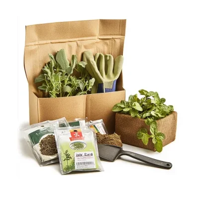 Home Garden Veggie Kit