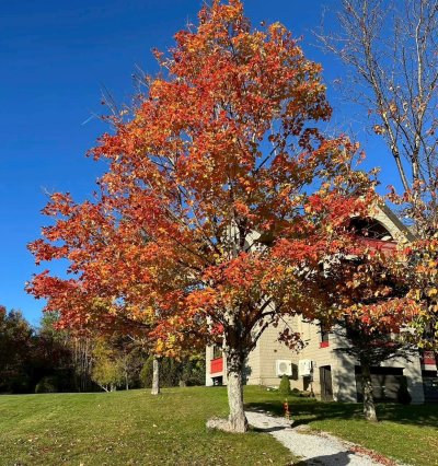 FallColorsofNewEngland