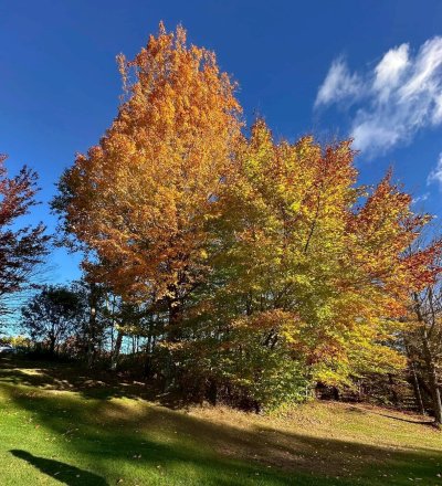 FallColorsofNewEngland