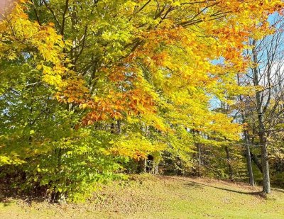 FallColorsofNewEngland