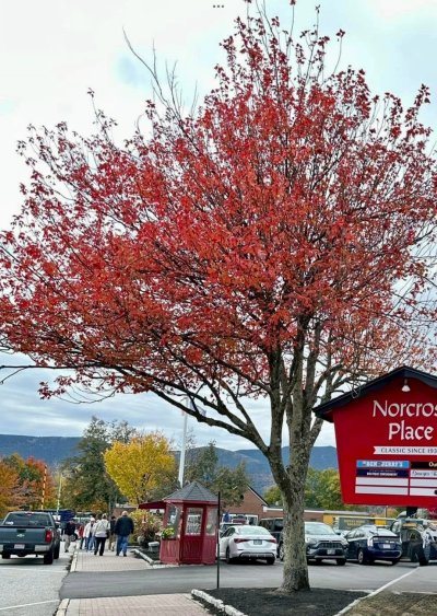 FallColorsofNewEngland