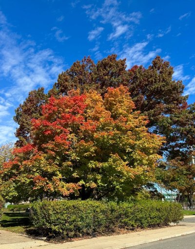 FallColorsofNewEngland