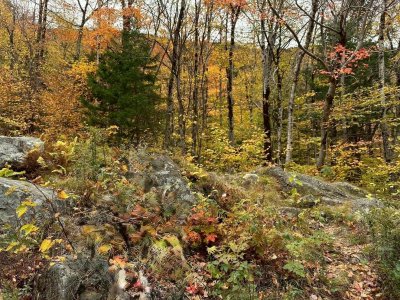 FallColorsofNewEngland