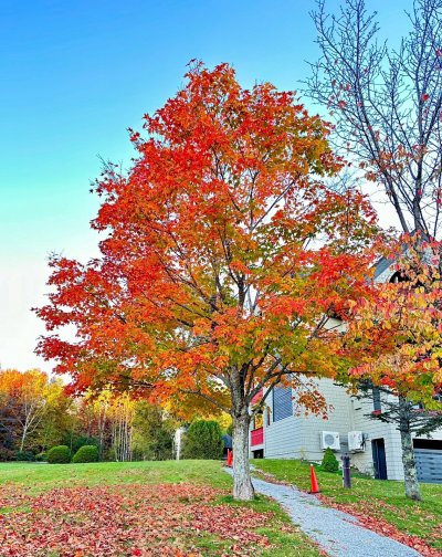 FallColorsofNewEngland