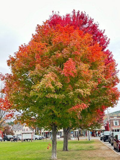 FallColorsofNewEngland