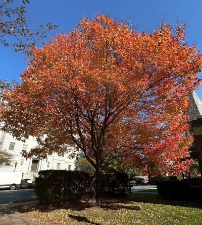 FallColorsofNewEngland