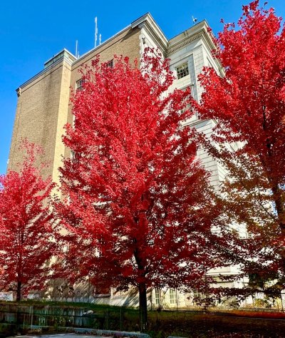 FallColorsofNewEngland