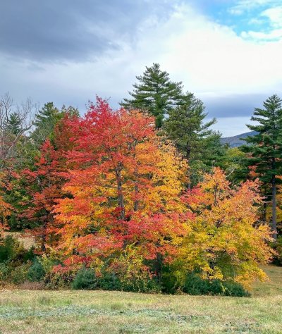 FallColorsofNewEngland
