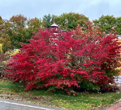 FallColorsofNewEngland