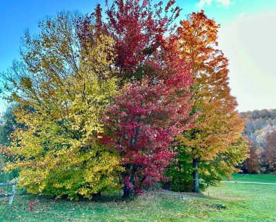 FallColorsofNewEngland